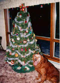 Sampson by Fischer Christmas Tree
