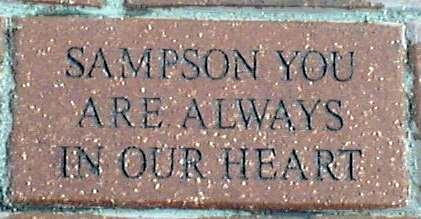 Sampson you are always in our heart