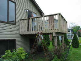 Rose Bushes Removed