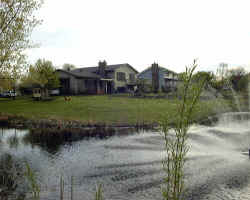 Our Pond, with Fountain and Yard