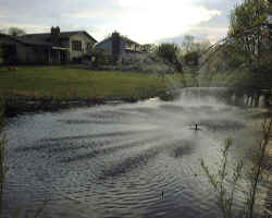 Our Pond, with Fountain and Yard