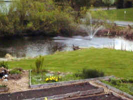 Garden, Pond, and Fountain