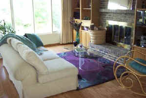 New Home Living Room