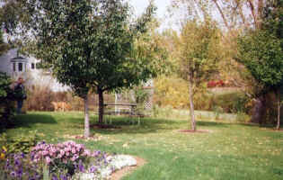 Side Yard